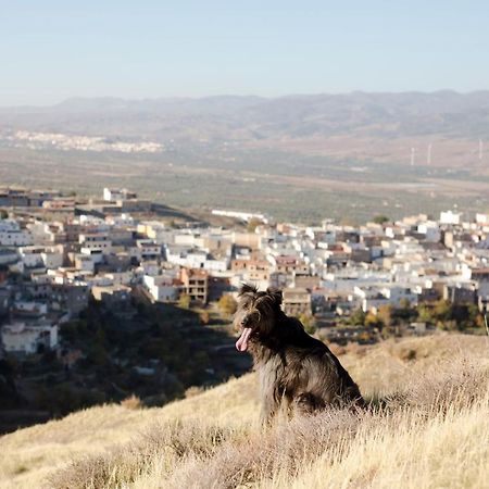 La Flecha Hostel Abrucena Eksteriør bilde